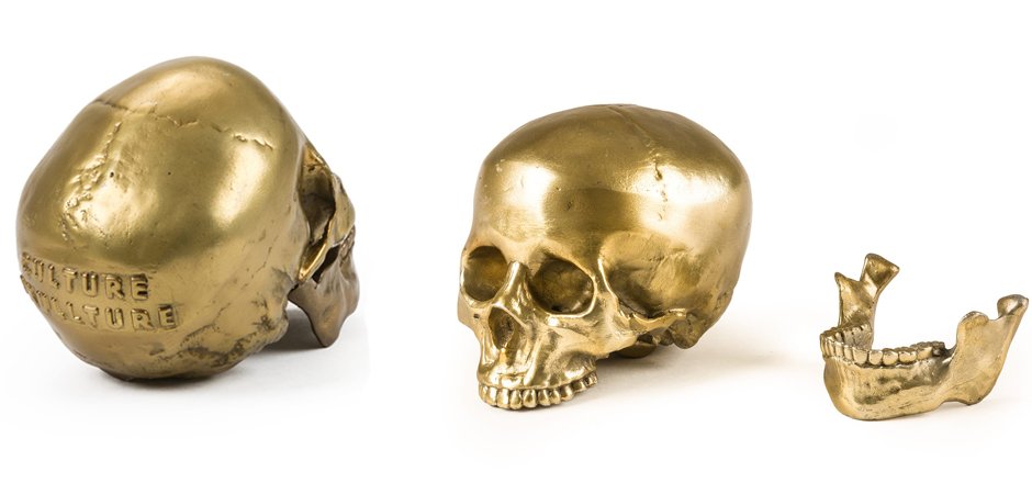 Статуэтка Seletti Wunderkrammer Human Skull Статуэтка Seletti Wunderkrammer Human Skull - Loft-Concept в Костроме