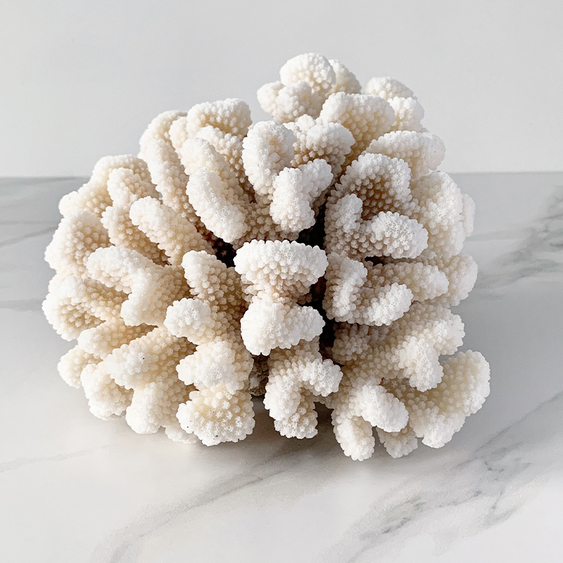 Статуэтка Brownstem Coral Статуэтка Brownstem Coral в Костроме | Loft Concept