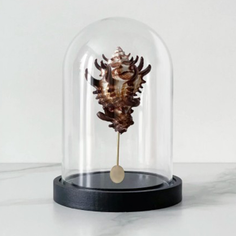 Статуэтка Vasum Tubiferum Glass Cloche Статуэтка Vasum Tubiferum Glass Cloche в Костроме | Loft Concept