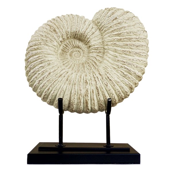 Аксессуар Аммонит Fossil Shell Аксессуар Аммонит Fossil Shell в Костроме | Loft Concept