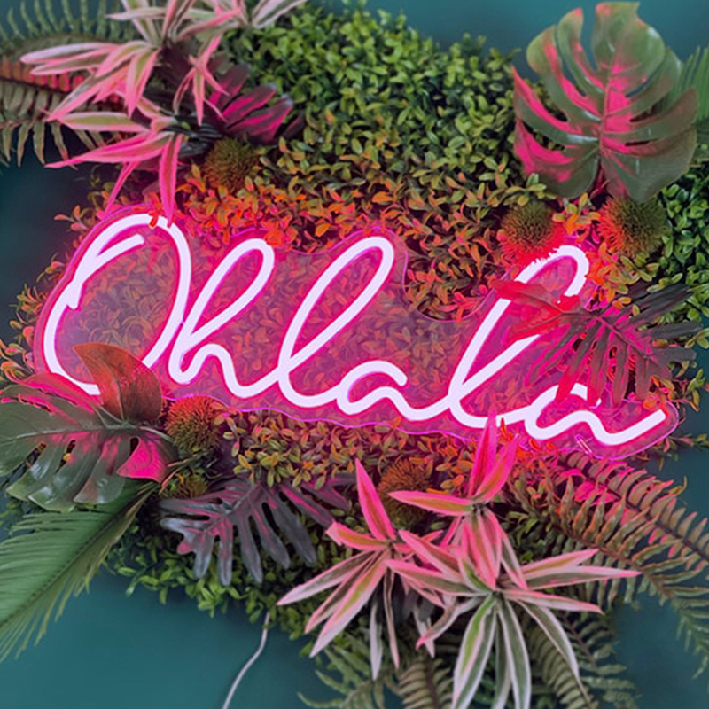 Неоновая настенная лампа Oh La La Neon Wall Lamp Розовый Розовый Прозрачный Неоновая настенная лампа Oh La La Neon Wall Lamp Розовый Розовый Прозрачный в Костроме | Loft Concept