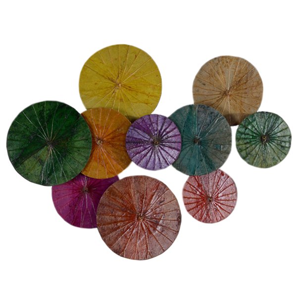 Арт-объект Disc wall art Lotus leaves Мульти Арт-объект Disc wall art Lotus leaves Мульти в Костроме | Loft Concept
