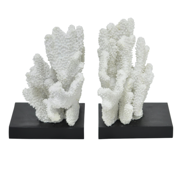 Держатели для книг White Coral Белый Держатели для книг White Coral Белый в Костроме | Loft Concept