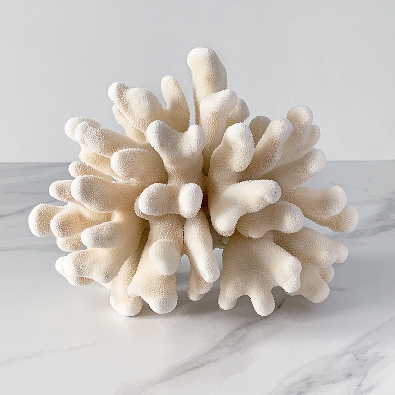 Статуэтка Elkhorn Coral Статуэтка Elkhorn Coral в Костроме | Loft Concept