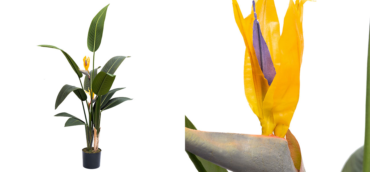 Искусственная Strelitzia Reginae - фото