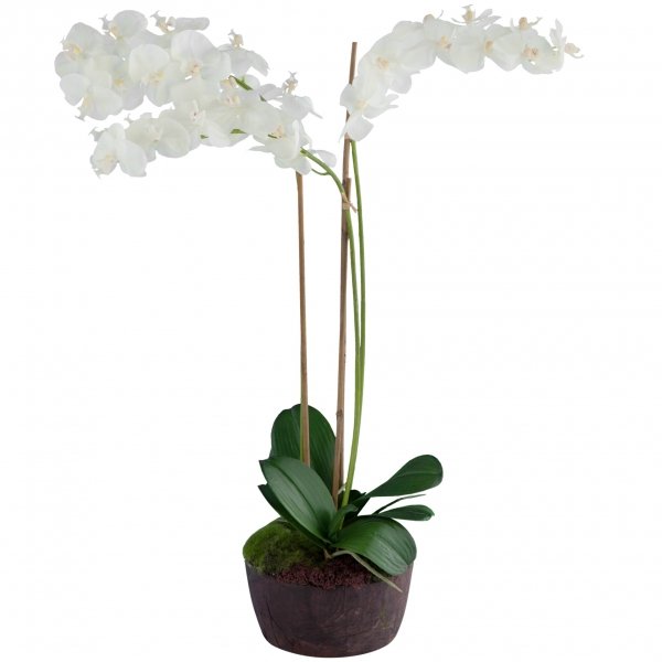 Декоративный искусственный цветок Orchid Декоративный искусственный цветок Orchid в Костроме | Loft Concept