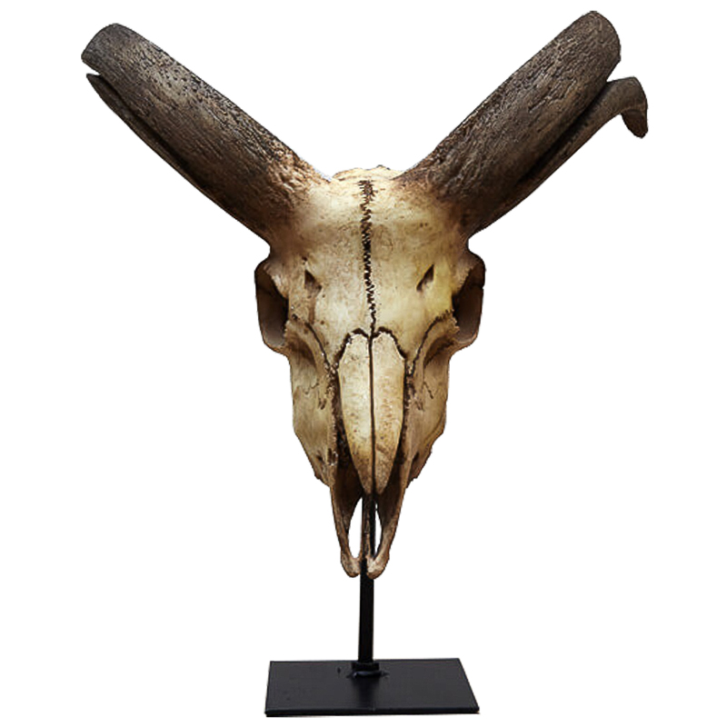 Аксессуар Goat Skull Бежевый Коричневый Черный Аксессуар Goat Skull Бежевый Коричневый Черный в Костроме | Loft Concept