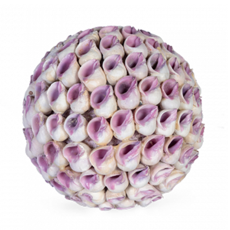 Статуэтка Coral Decor ball Коричневый Статуэтка Coral Decor ball Коричневый в Костроме | Loft Concept