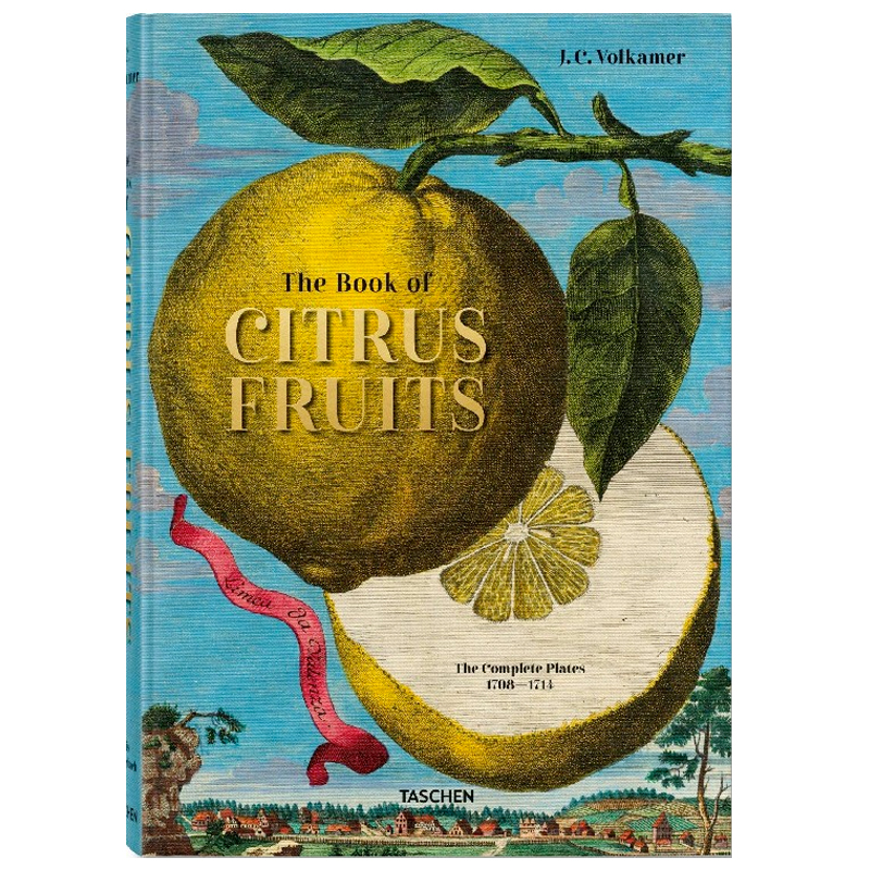 Volkamer Citrus Fruits Volkamer Citrus Fruits в Костроме | Loft Concept