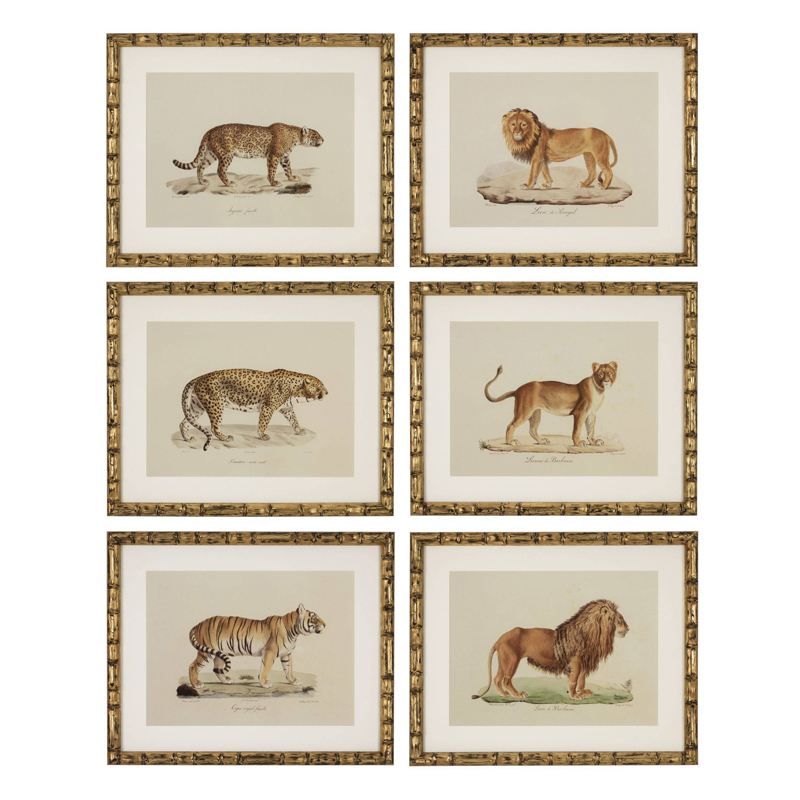 Комплект постеров Eichholtz Prints Lion Tigre Jaguar set of 6 Золотой Бежевый Мульти Комплект постеров Eichholtz Prints Lion Tigre Jaguar set of 6 Золотой Бежевый Мульти в Костроме | Loft Concept