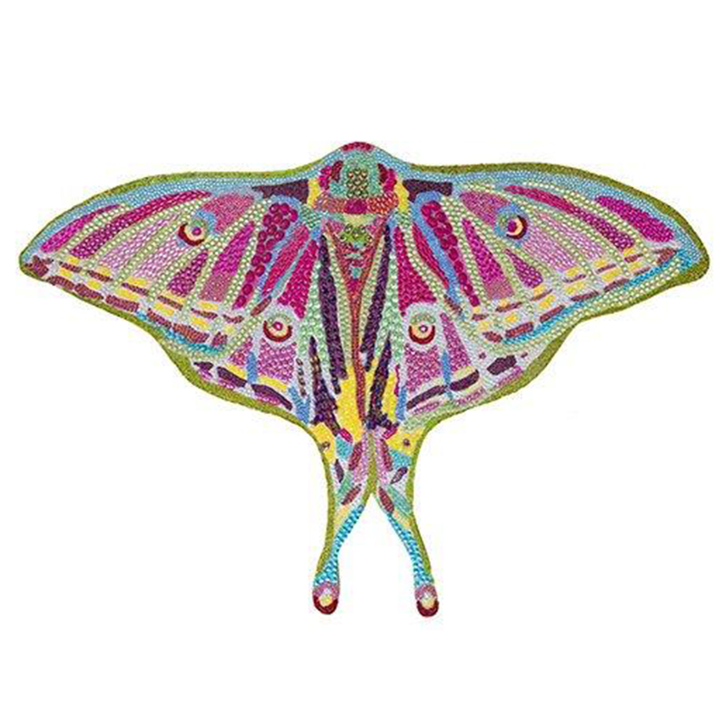 Картина “Spanish Moon Moth Butterfly Cut Out” Мульти Картина “Spanish Moon Moth Butterfly Cut Out” Мульти в Костроме | Loft Concept