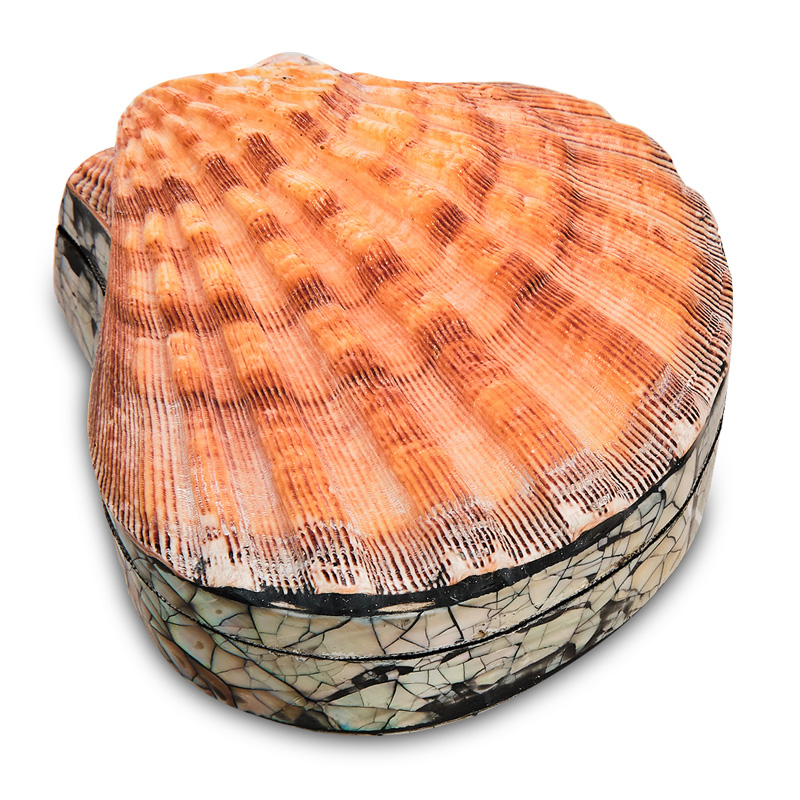 Шкатулка Shell Box II Коралловый Шкатулка Shell Box II Коралловый в Костроме | Loft Concept