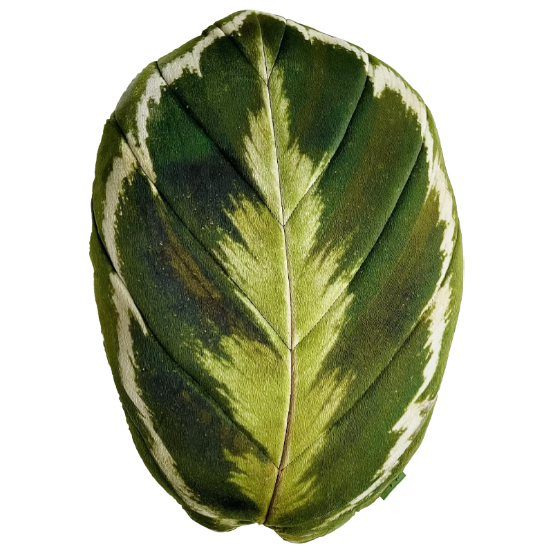 Декоративная подушка Botanical Cushion Calathea Medallion Зеленый Декоративная подушка Botanical Cushion Calathea Medallion Зеленый в Костроме | Loft Concept