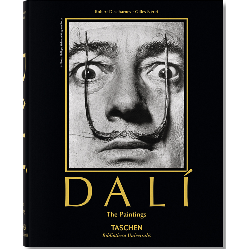 Salvador Dali. Paintings Salvador Dali. Paintings в Костроме | Loft Concept