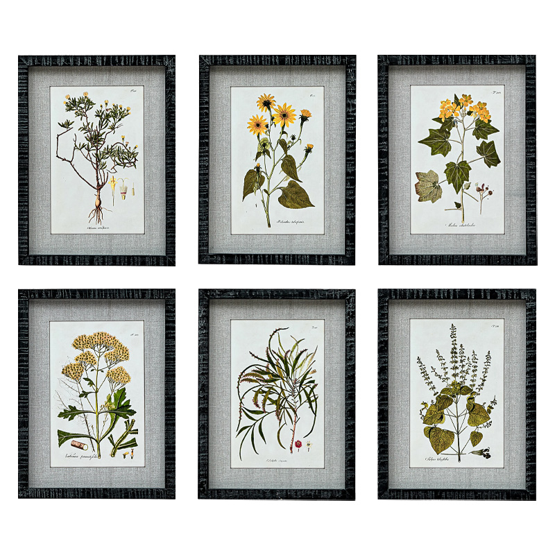 Набор постеров Herbarium Yellow Flowers Мульти Набор постеров Herbarium Yellow Flowers Мульти в Костроме | Loft Concept