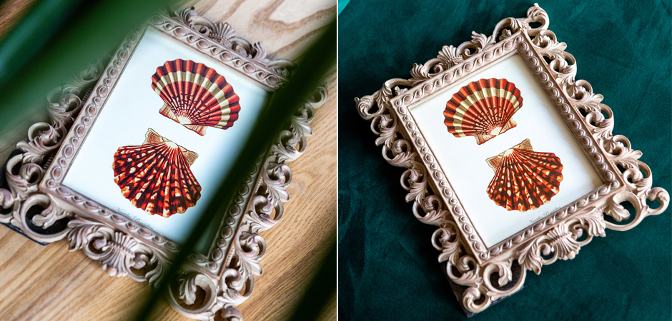 Постер Red Scallop Poster - Loft-Concept в Костроме