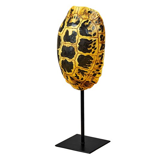 Статуэтка Yellow Tortoise Shell Черный Желтый Статуэтка Yellow Tortoise Shell Черный Желтый в Костроме | Loft Concept