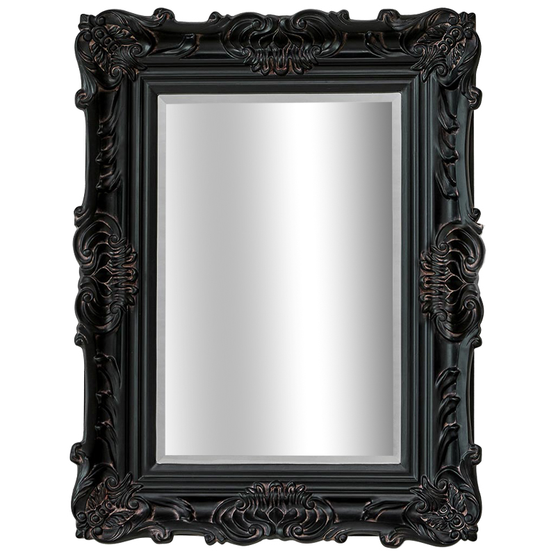 Зеркало Aryan Provence Mirror Black Черный Коричневый Зеркало Aryan Provence Mirror Black Черный Коричневый в Костроме | Loft Concept