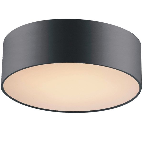 Потолочный светильник Cylindra Black 30 Черный Потолочный светильник Cylindra Black 30 Черный в Костроме | Loft Concept