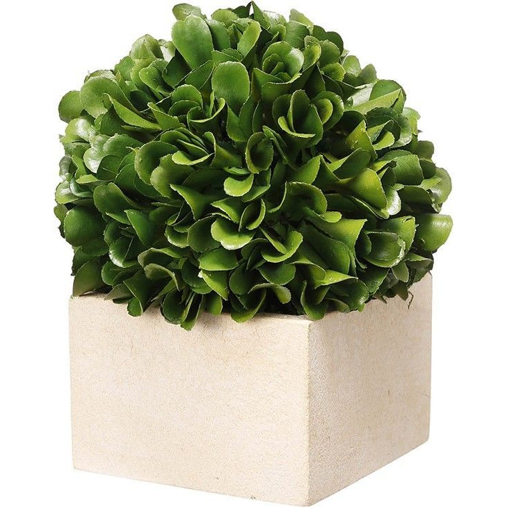 Декоративный искусственное растение Square boxwood Зеленый Бежевый Декоративный искусственное растение Square boxwood Зеленый Бежевый в Костроме | Loft Concept