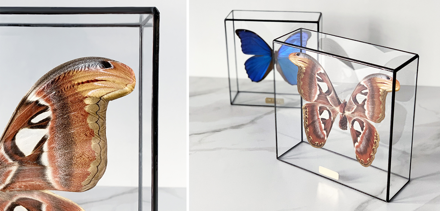 Статуэтка Butterfly Atlas Glass Box - фото