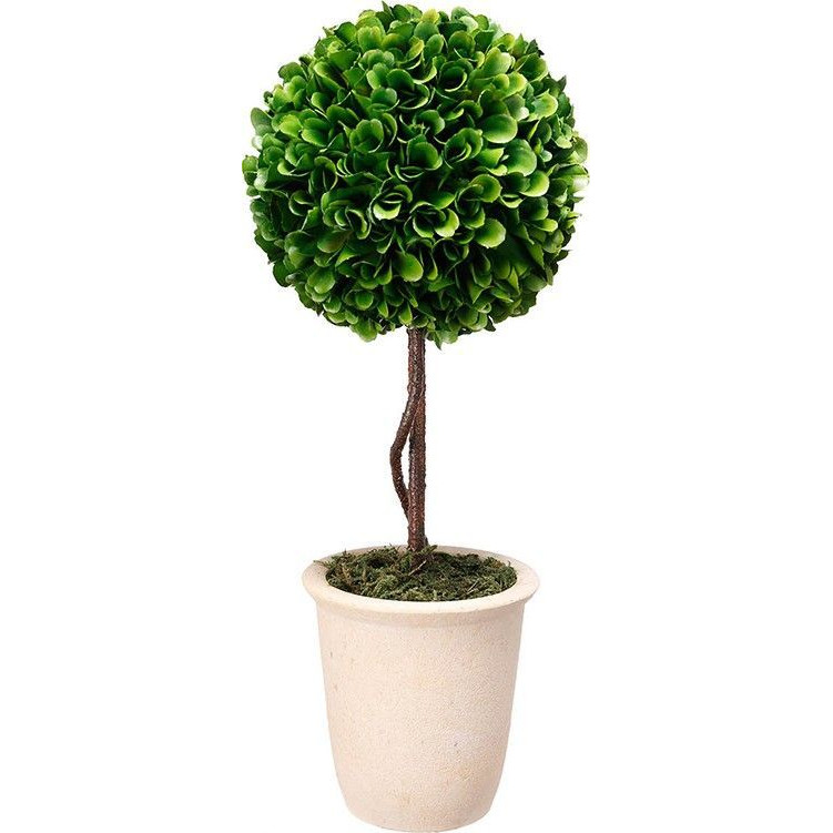 Декоративный искусственное растение Single boxwood Зеленый Бежевый Коричневый Декоративный искусственное растение Single boxwood Зеленый Бежевый Коричневый в Костроме | Loft Concept