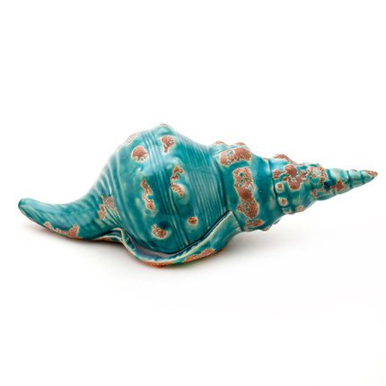 Ракушка Shell Turquoise #1 Бирюзовый Ракушка Shell Turquoise #1 Бирюзовый в Костроме | Loft Concept