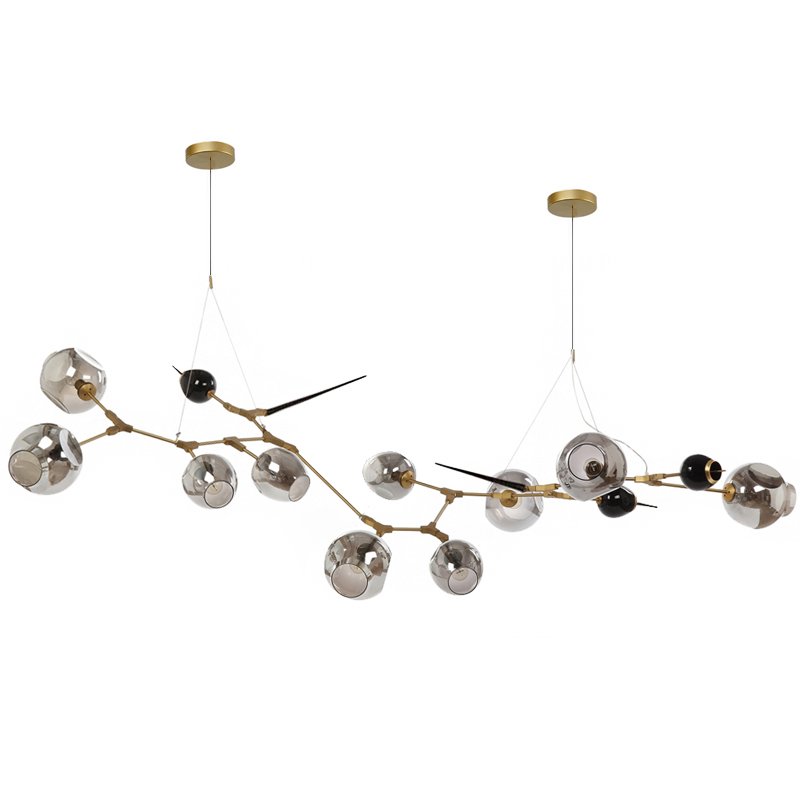 Люстра Chandelier bubbles and thorns Золотой Прозрачное Стекло Прозрачный черный Люстра Chandelier bubbles and thorns Золотой Прозрачное Стекло Прозрачный черный в Костроме | Loft Concept