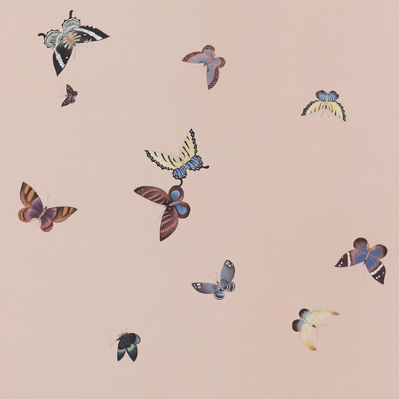 Обои ручная роспись Butterflies Icarus on Gentleman Обои ручная роспись Butterflies Icarus on Gentleman