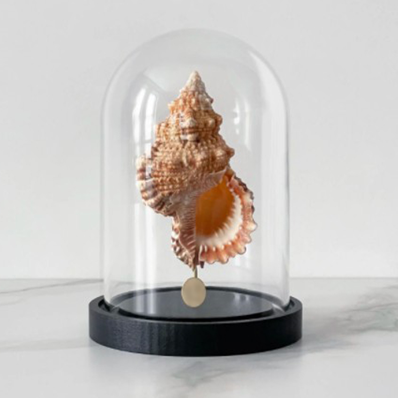 Статуэтка Bursa Rubeta Glass Cloche Статуэтка Bursa Rubeta Glass Cloche в Костроме | Loft Concept
