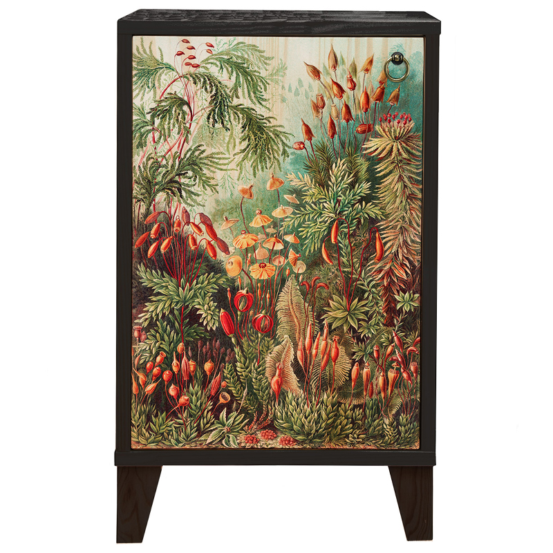 Тумба с цветочным изображением Floral Print Nighstand Черный Мульти Тумба с цветочным изображением Floral Print Nighstand Черный Мульти в Костроме | Loft Concept