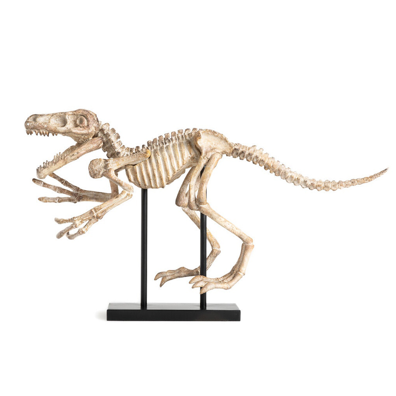 Статуэтка Dinosaur Skeleton big Бежево-серый Статуэтка Dinosaur Skeleton big Бежево-серый в Костроме | Loft Concept