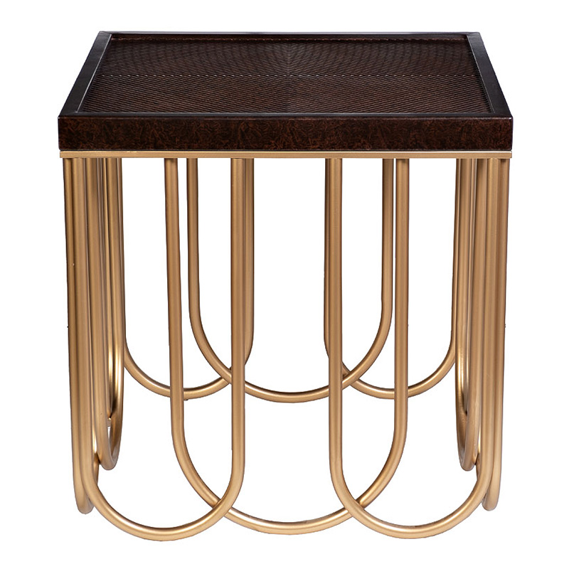 Приставной стол Cassel Side Table Дерево Табак Золотой Приставной стол Cassel Side Table Дерево Табак Золотой в Костроме | Loft Concept