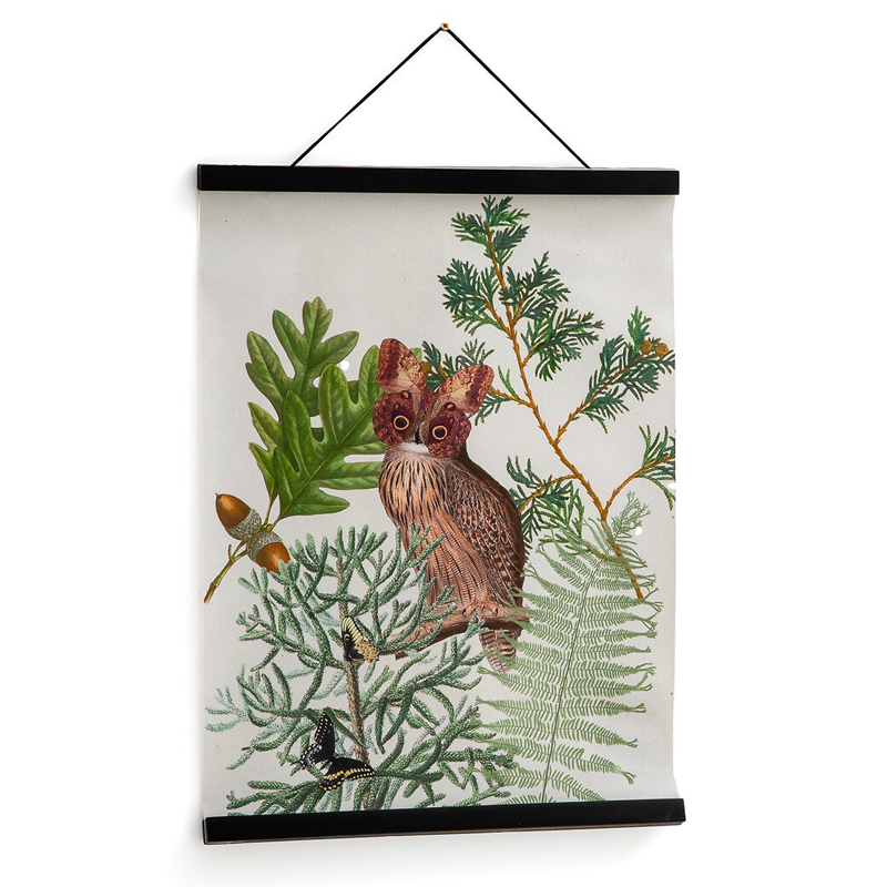 Постер Poster of Plants & Birds сова Мульти Постер Poster of Plants & Birds сова Мульти в Костроме | Loft Concept