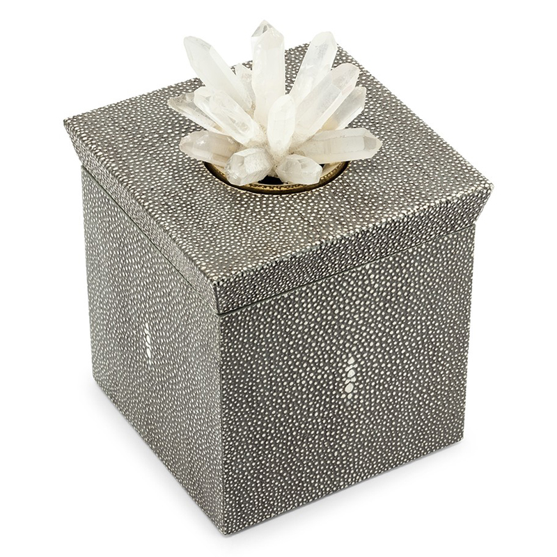 Шкатулка BOX KRIZIA STING SQ Светло-серый Прозрачный Шкатулка BOX KRIZIA STING SQ Светло-серый Прозрачный в Костроме | Loft Concept