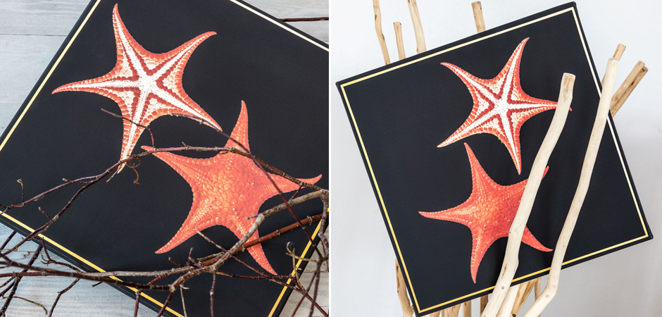 Постер Sea Stars Poster Постер Sea Stars Poster - Loft-Concept в Костроме