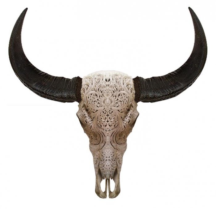 Череп буйвола с резьбой Buffalo Skull Tribal Carving Белый Череп буйвола с резьбой Buffalo Skull Tribal Carving Белый в Костроме | Loft Concept