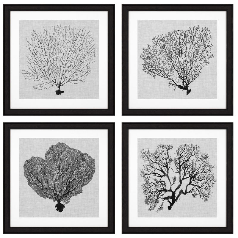 Комплект постеров Eichholtz Prints Shadow Sea Fans set of 4 Черный Черно-белый Комплект постеров Eichholtz Prints Shadow Sea Fans set of 4 Черный Черно-белый в Костроме | Loft Concept