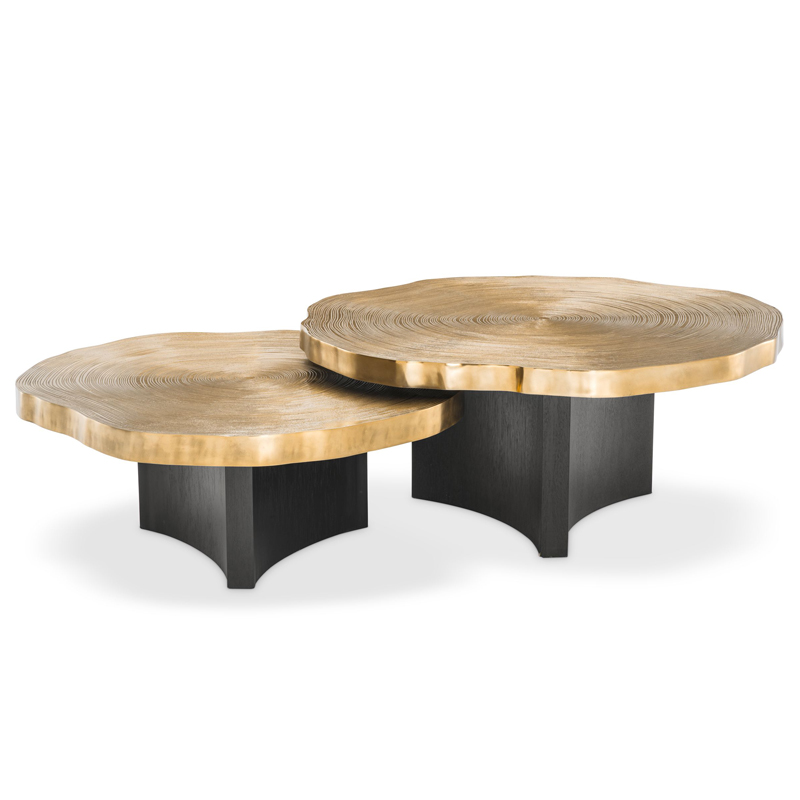 Комплект кофейных столов Eichholtz Coffee Table Thousand Oaks set of 2 Черный Латунь Комплект кофейных столов Eichholtz Coffee Table Thousand Oaks set of 2 Черный Латунь в Костроме | Loft Concept