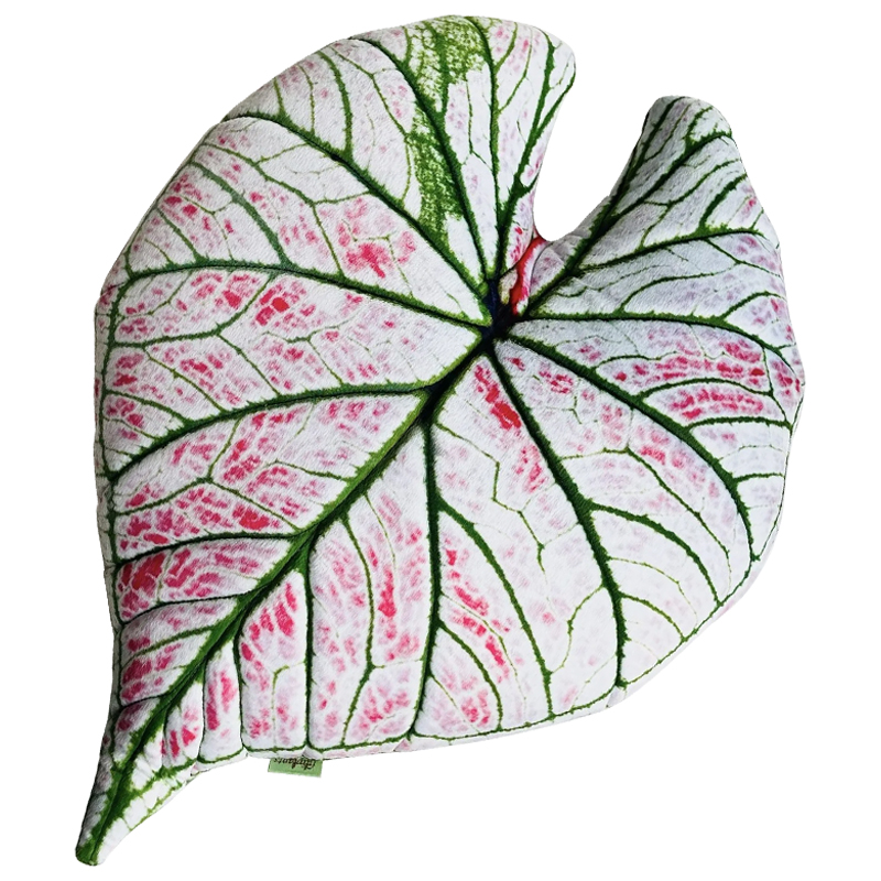 Декоративная подушка Botanical Cushion Caladium Rosebud Зеленый Бежевый Розовый Декоративная подушка Botanical Cushion Caladium Rosebud Зеленый Бежевый Розовый в Костроме | Loft Concept
