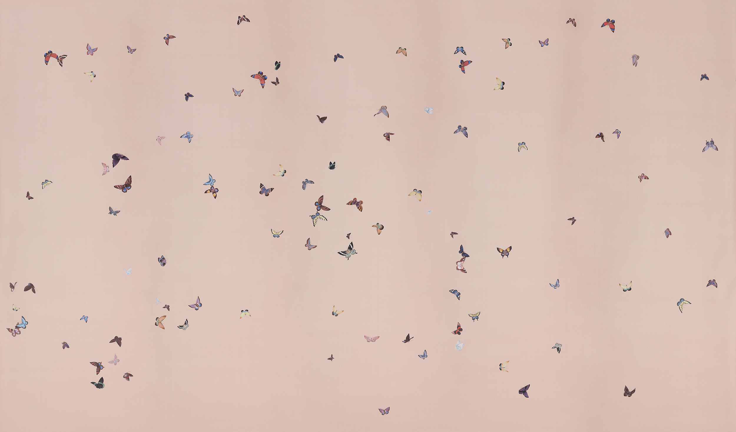 Обои ручная роспись Butterflies Icarus on Gentleman's Pink dyed silk Обои ручная роспись Butterflies Icarus on Gentleman's Pink dyed silk - постер Loft-Concept в Костроме