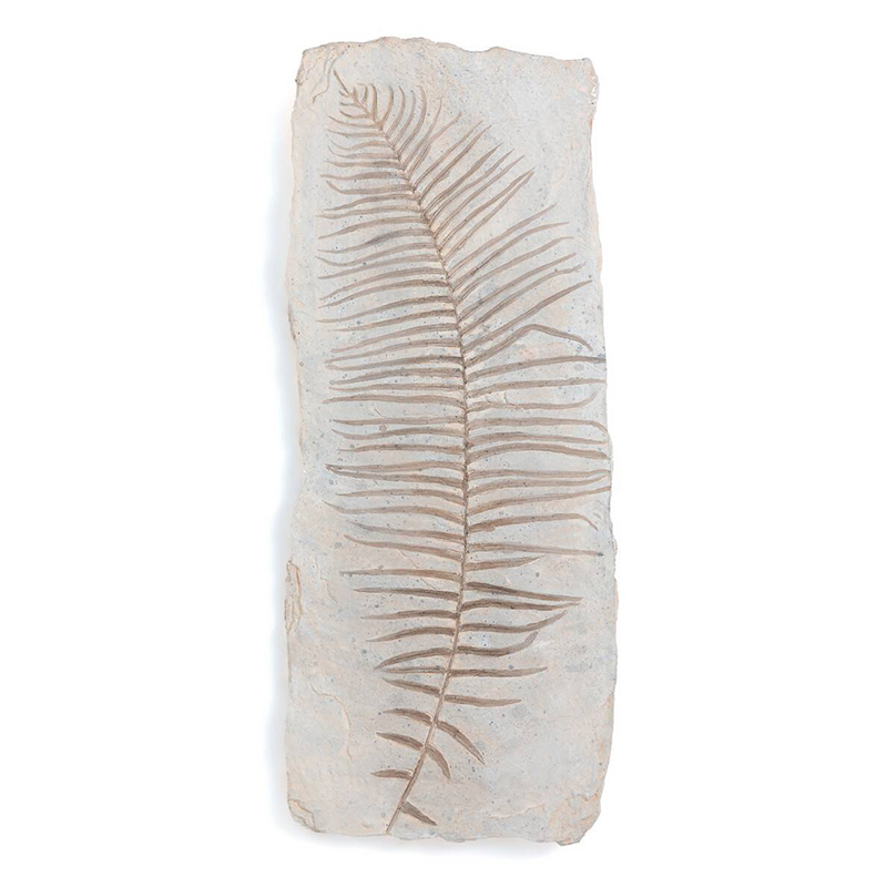 Аксессуар на стену Tropical Leaf Бежево-серый Аксессуар на стену Tropical Leaf Бежево-серый в Костроме | Loft Concept