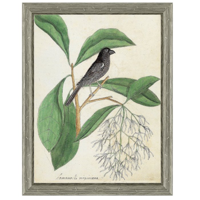 Постер Black Bird & White Flowers Постер Black Bird & White Flowers в Костроме | Loft Concept