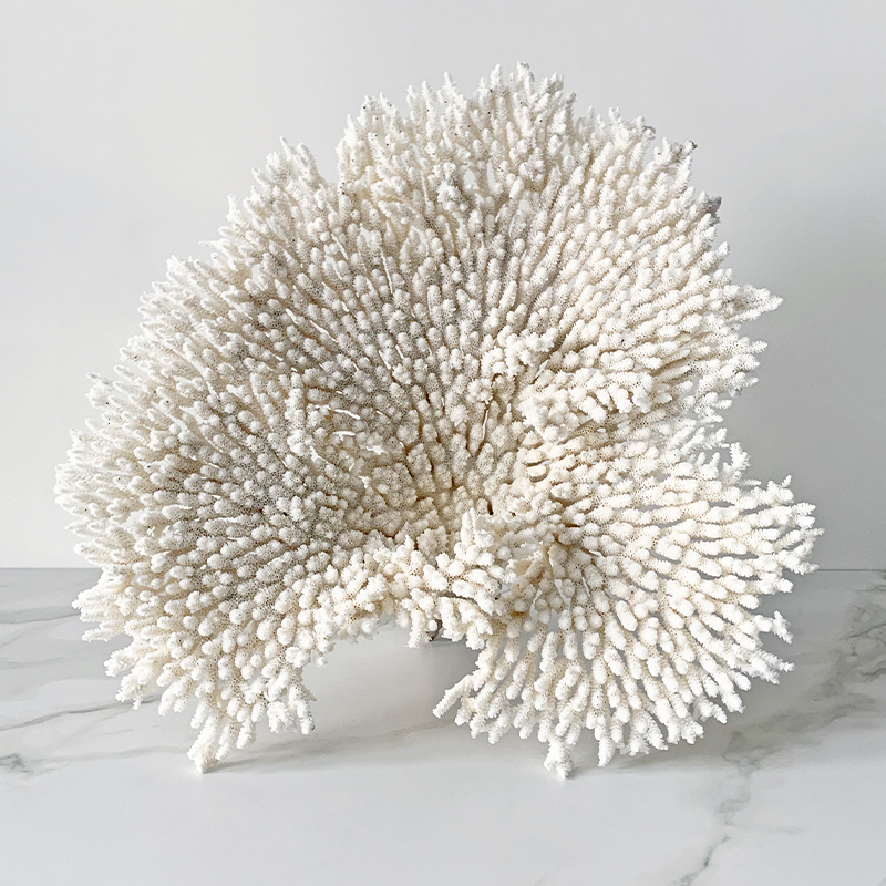 Статуэтка Table Coral Статуэтка Table Coral в Костроме | Loft Concept