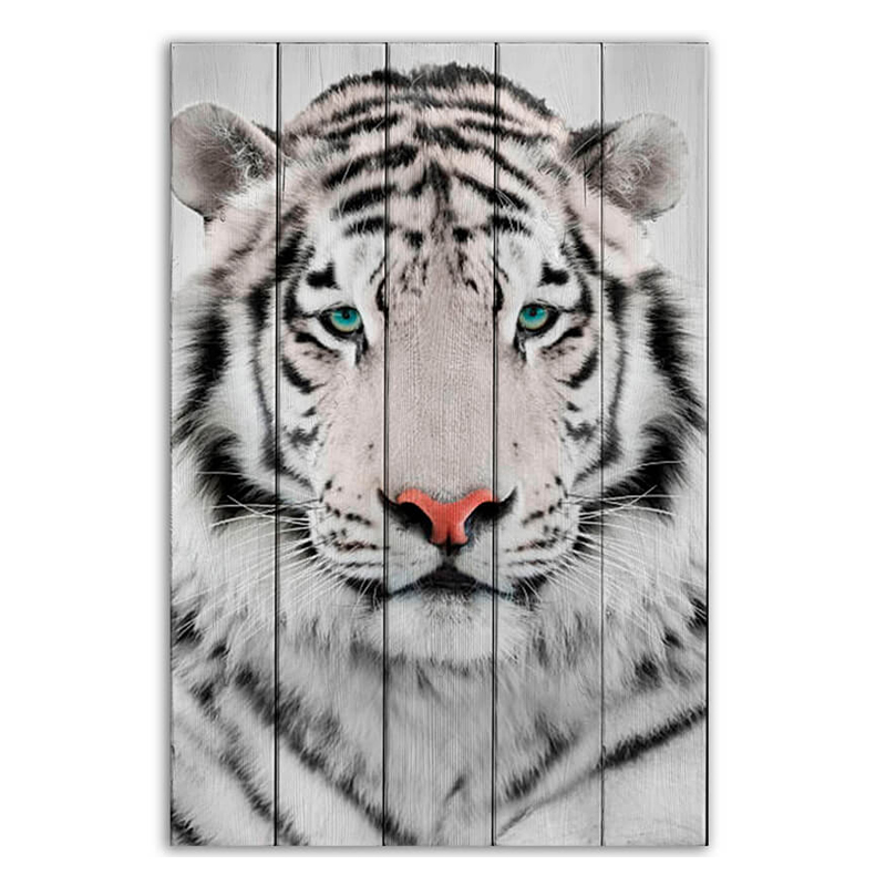 Постер White Tiger  в Костроме | Loft Concept 