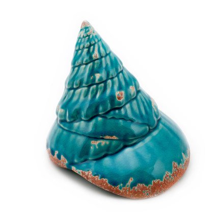 Ракушка Shell Turquoise #2 Бирюзовый Ракушка Shell Turquoise #2 Бирюзовый в Костроме | Loft Concept