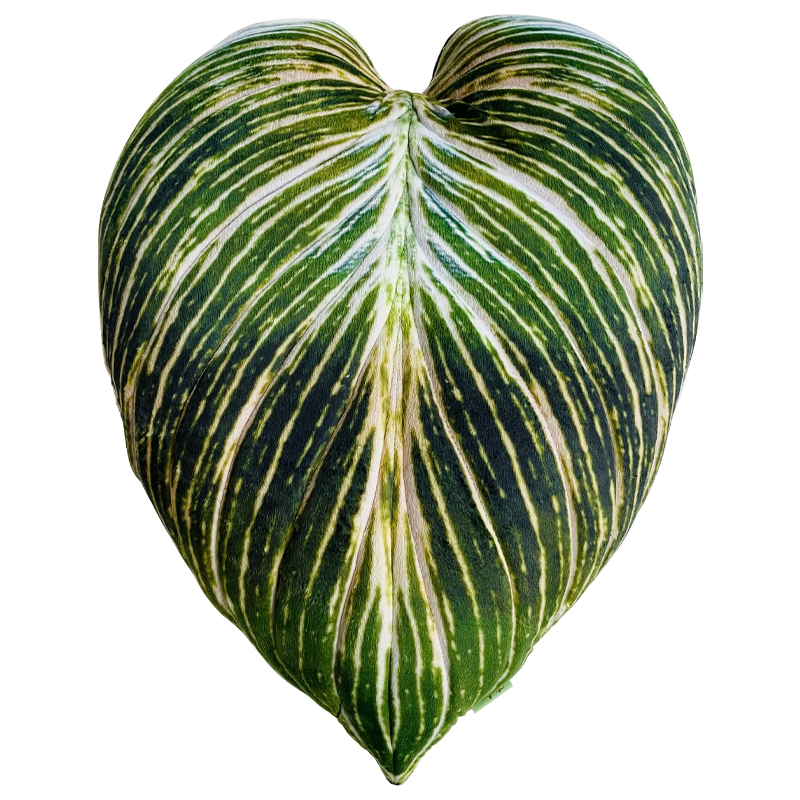 Декоративная подушка Botanical Cushion Philodendron Birkin Зеленый Салатовый Белый Декоративная подушка Botanical Cushion Philodendron Birkin Зеленый Салатовый Белый в Костроме | Loft Concept