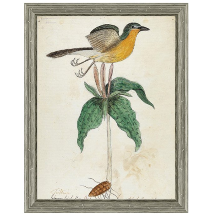 Постер Bird On Flower Постер Bird On Flower в Костроме | Loft Concept