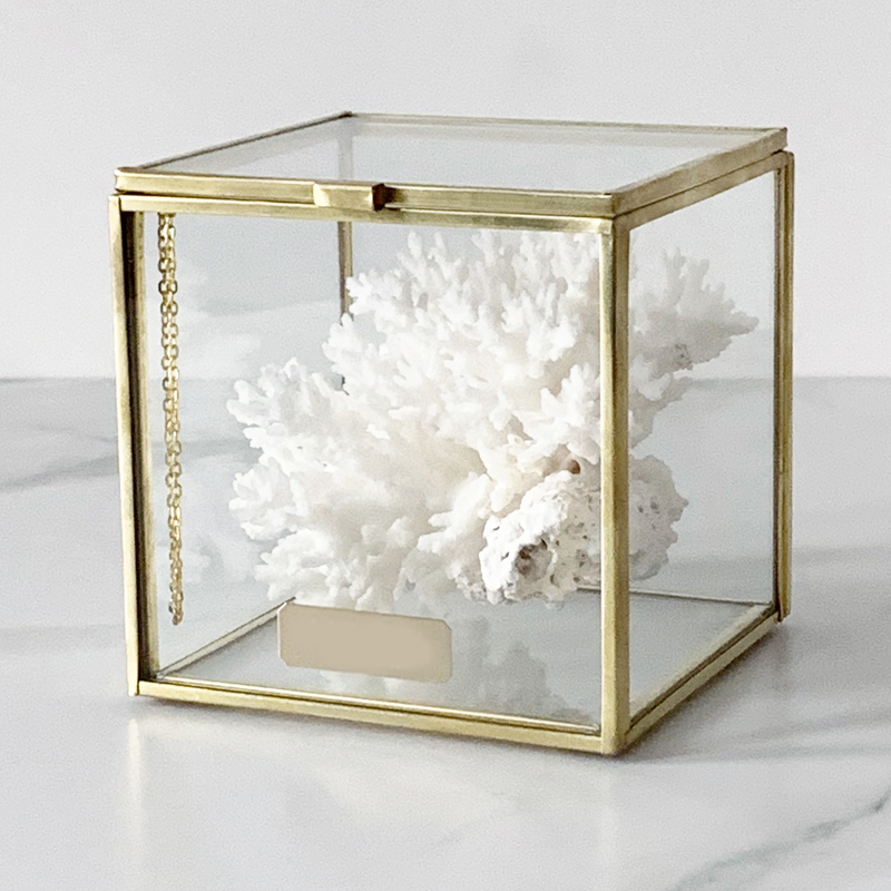 Статуэтка Natural Coral Glass Box S Статуэтка Natural Coral Glass Box S в Костроме | Loft Concept