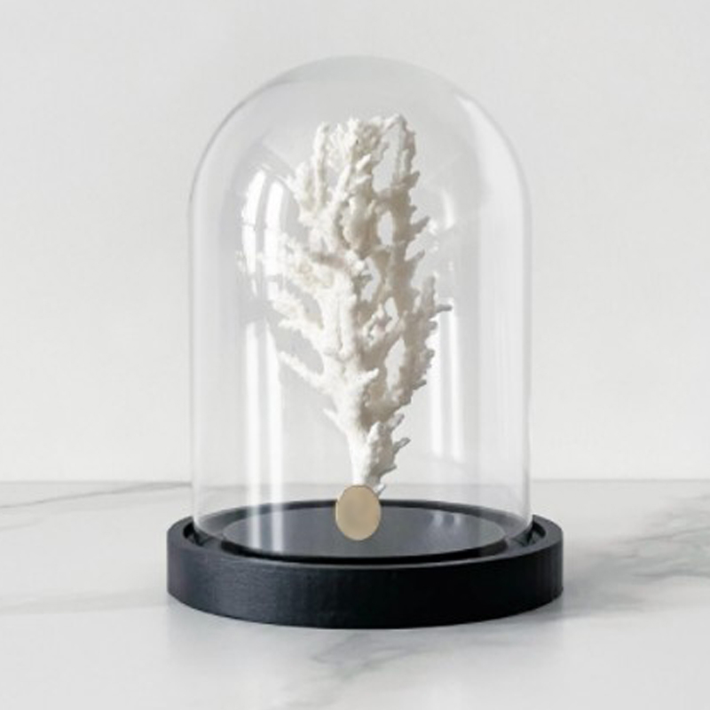 Статуэтка White Coral Glass Cloche Статуэтка White Coral Glass Cloche в Костроме | Loft Concept